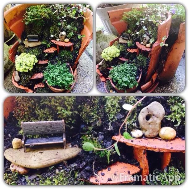 fairy garden