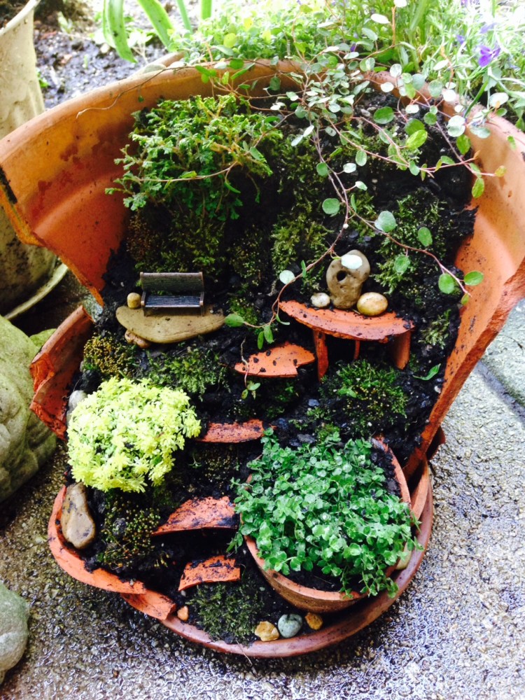 fairy garden