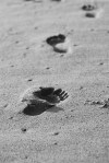 footprints-sand