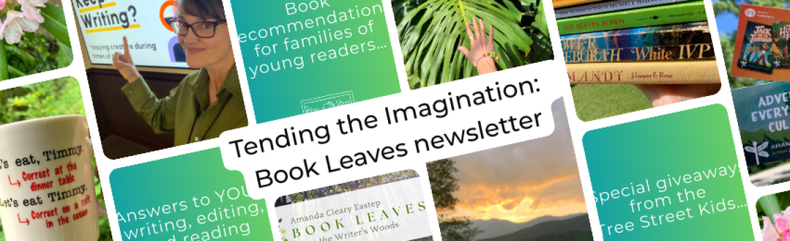 Amanda Cleary Eastep