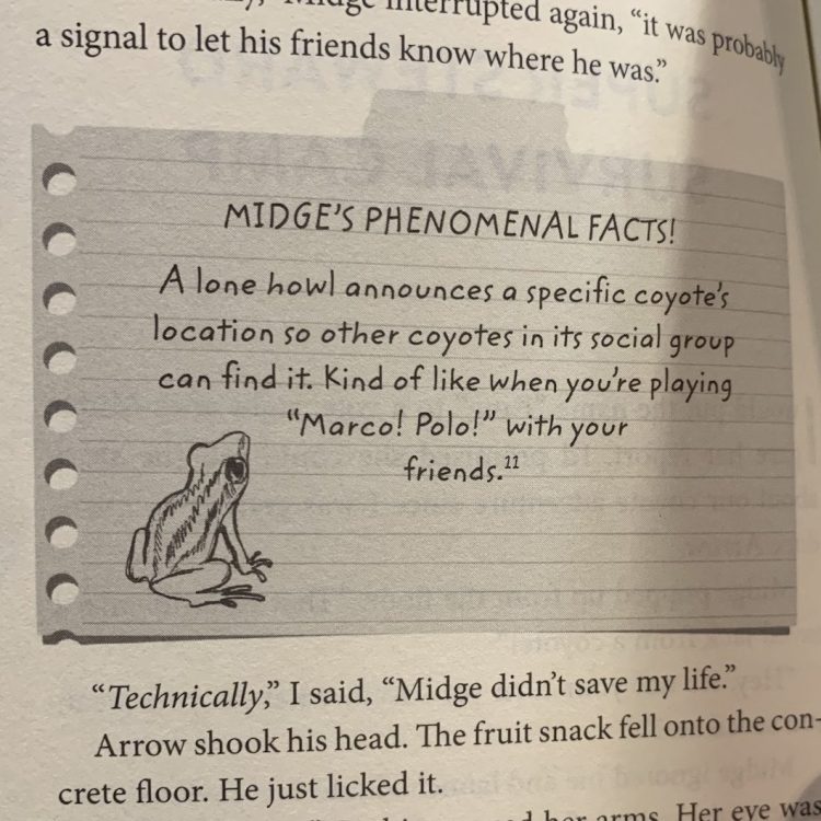 The Hunt for Fang by Amanda Cleary Eastep